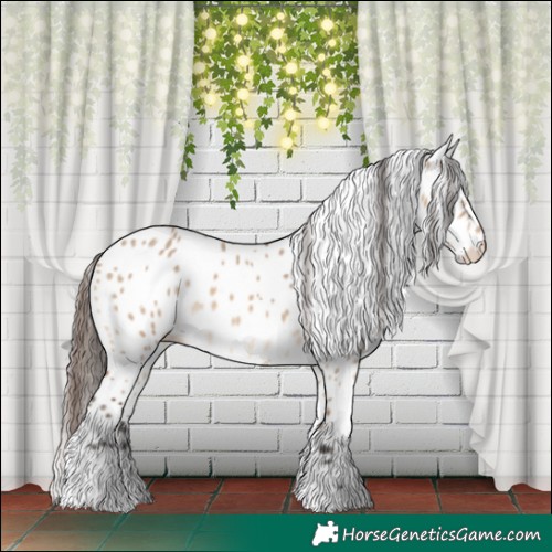 Horse Color:Bay Dun Tobiano Skewed LP Spotted 