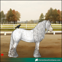 Horse Color:Silver Smoky Grullo Appaloosa 