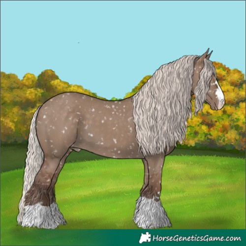Horse Color:Silver Grullo Snowflake Varnish 