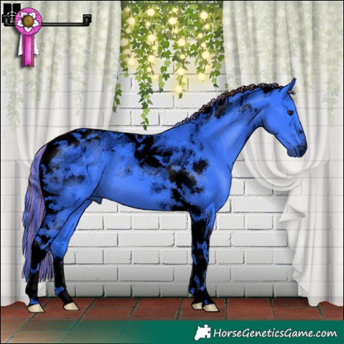 Horse Color:Void Painted Watercolor Black Chinchilla Tobiano 
