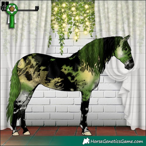 Horse Color:ERROR: UNKNOWN ANOMALY