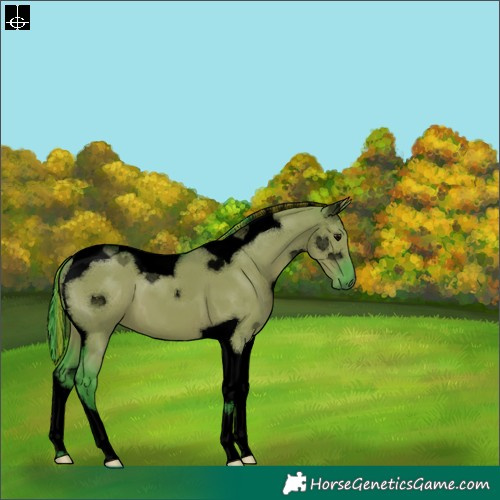 Horse Color:Void Painted Watercolor Grullo Tobiano 