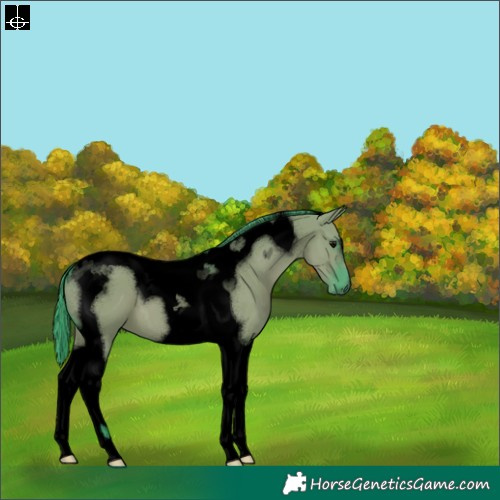 Horse Color:Void Watercolor Grullo Tobiano 