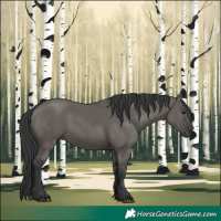 Horse Color:Grullo Rabicano 