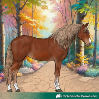 Horse Color:Chestnut 