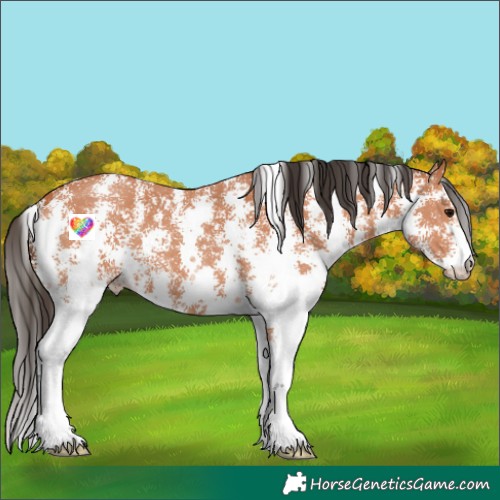 Horse Color:Unknown 