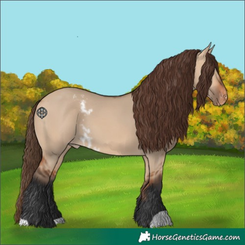 Horse Color:Bay Dun Skewed Appaloosa 