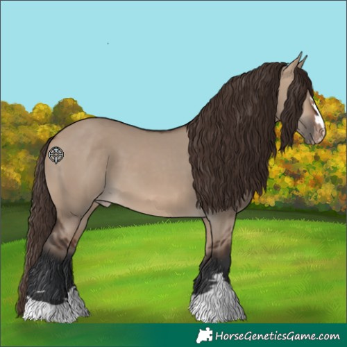 Horse Color:Brown Dun Skewed Appaloosa 