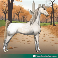 Horse Color:Buckskin Dun Appaloosa
