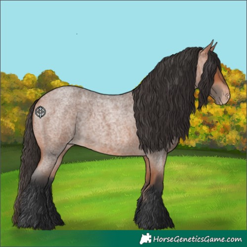 Horse Color:Bay Roan Skewed Appaloosa