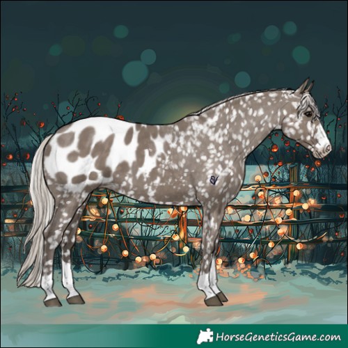 Horse Color:Silver Grullo Blanket 