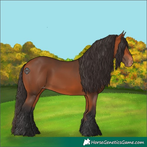 Horse Color:Bay Skewed Appaloosa