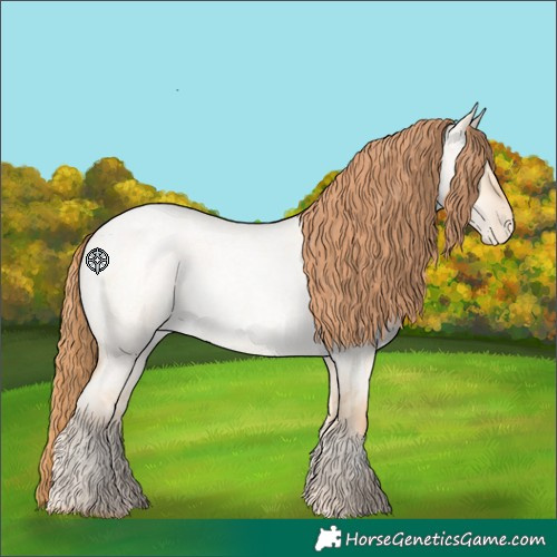 Horse Color:Buckskin Roan Pearl Dun Skewed LP Spotted 