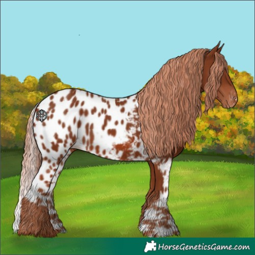 Horse Color:Chestnut Skewed LP Spotted 