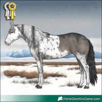 Horse Color:White Spotted Grullo Skewed LP Spotted
