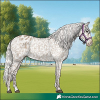 Horse Color:Silver Grullo Snowflake Varnish 