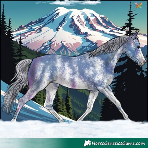Horse Color:Watercolor White Spotted Silver Brown 