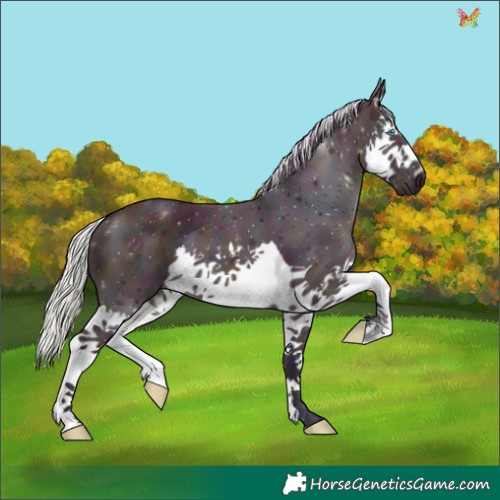 Horse Color:Watercolor Midnight Silver Buckskin Splash 
