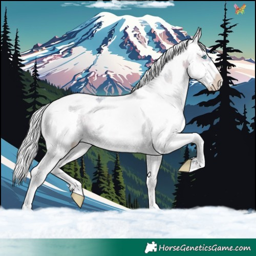 Horse Color:Watercolor White Spotted Silver Brown Onyx Splash 