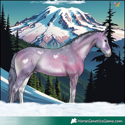 Horse Color:Watercolor Brown Onyx 