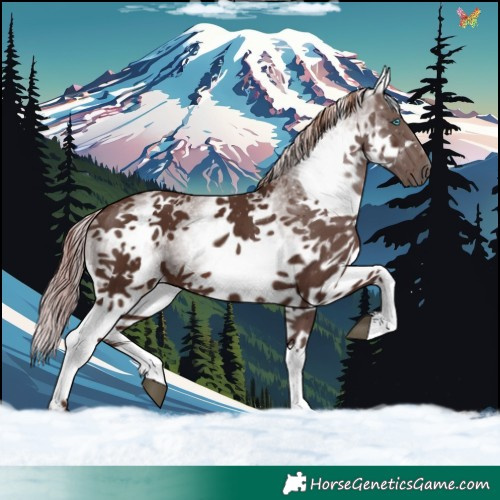Horse Color:White Spotted Liver Chestnut Splash 