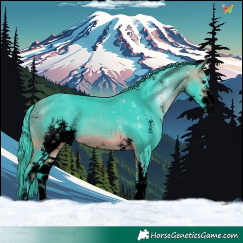 Horse Color:Void Watercolor Bay Sabino 