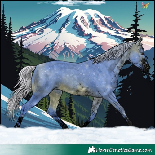 Horse Color:Void Watercolor White Spotted Silver Brown 