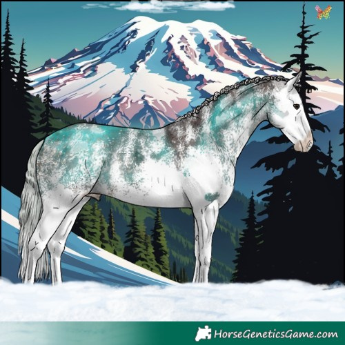 Horse Color:White Spotted Silver Brown Splash 
