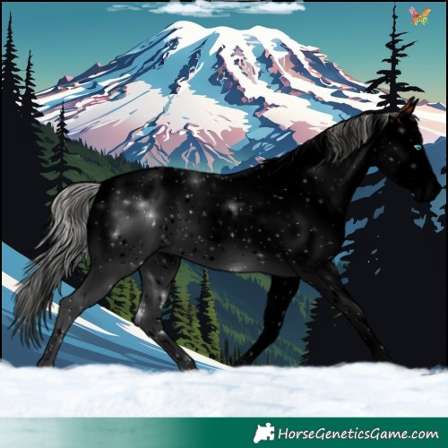 Horse Color:Void White Spotted Silver Bay Splash 