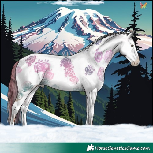 Horse Color:White Spotted Red Dun Onyx Splash 