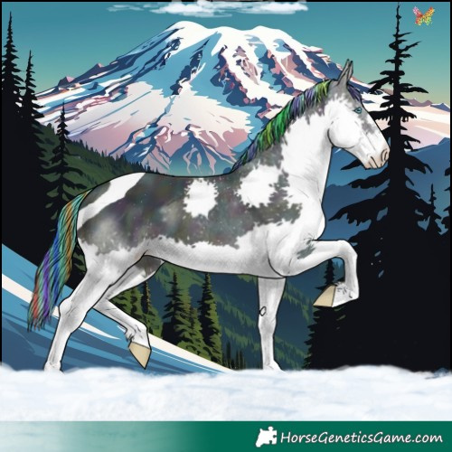 Horse Color:Painted Watercolor Midnight Amber Champagne Dun Splash Tobiano