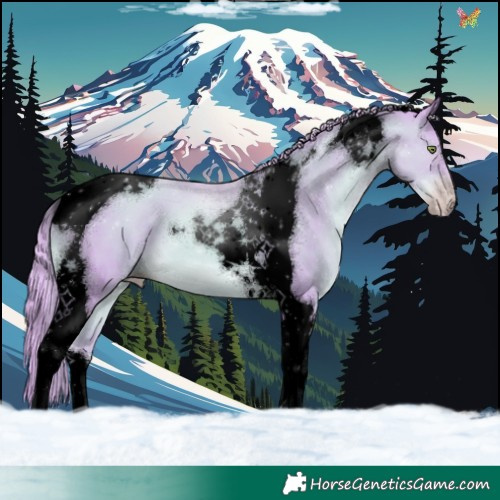 Horse Color:Void Watercolor Gold Champagne Tobiano 