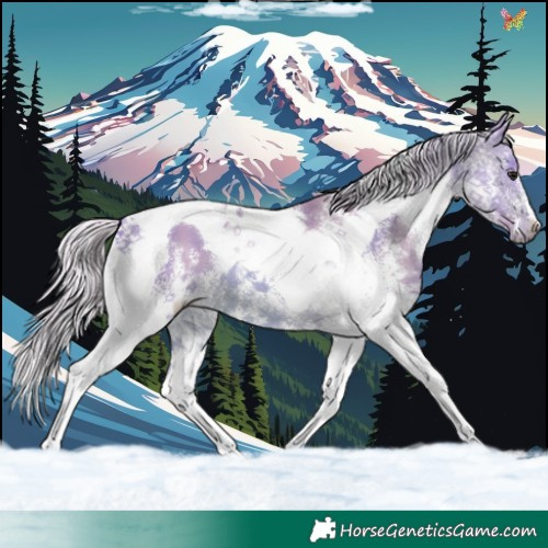 Horse Color:Watercolor White Spotted Silver Brown Tobiano
