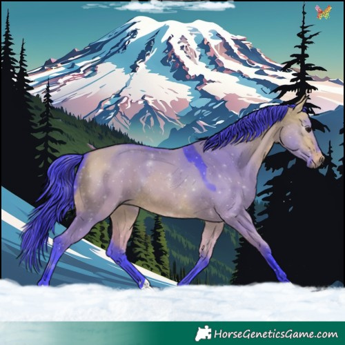 Horse Color:Watercolor Bay Dun