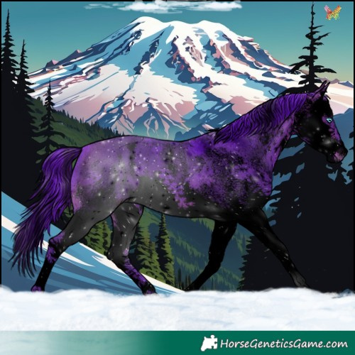 Horse Color:Void Watercolor White Spotted Bay Splash 