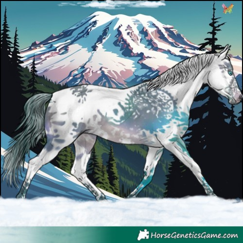 Horse Color:Watercolor White Spotted Brown Dun Splash Tobiano 