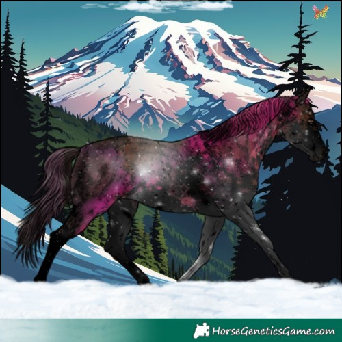 Horse Color:Void White Spotted Liver Chestnut Splash 