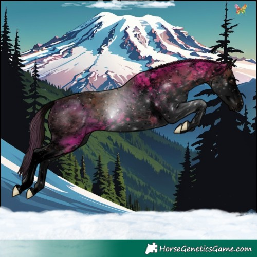 Horse Color:Void White Spotted Liver Chestnut Splash 