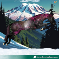 Horse Color:Void White Spotted Liver Chestnut Splash