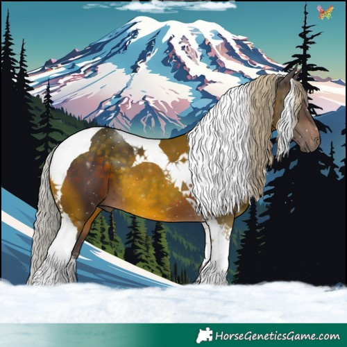 Horse Color:Silver Brown Tobiano 