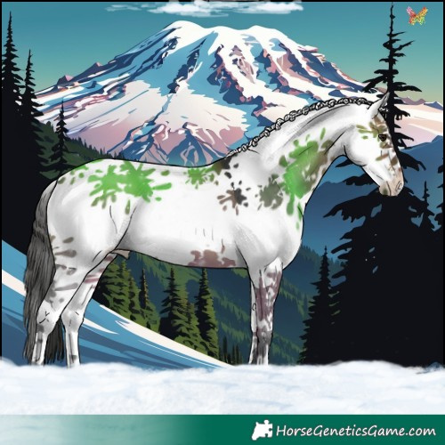 Horse Color:White Spotted Bay Dun Tobiano 