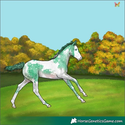 Horse Color:Watercolor Brown Splash Tobiano 