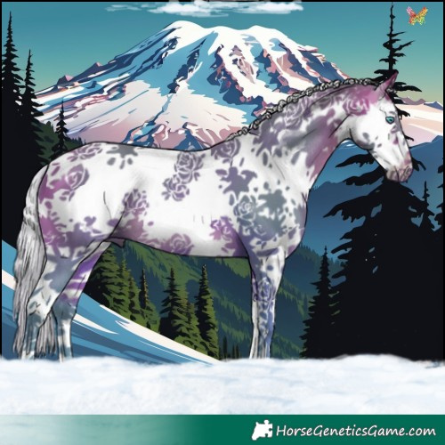 Horse Color:Watercolor Silver Bay Splash Tobiano 