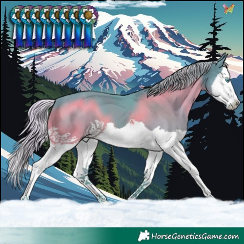 Horse Color:Watercolor Silver Black Splash 