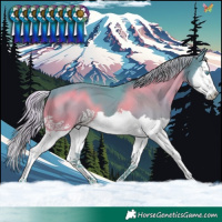 Horse Color:Watercolor Silver Black Splash 