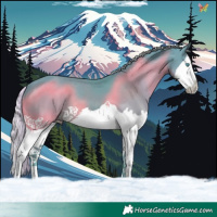 Horse Color:Watercolor Silver Black Splash 