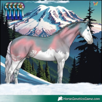 Horse Color:Watercolor Silver Black Splash 
