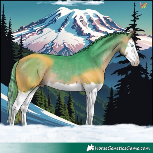 Horse Color:Watercolor Buckskin Splash 