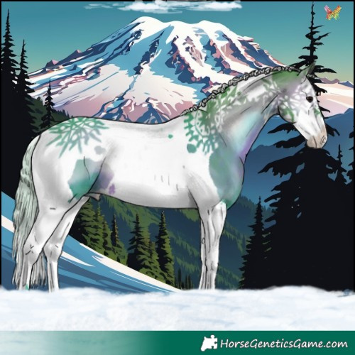 Horse Color:Watercolor Silver Brown Onyx Splash Tobiano 