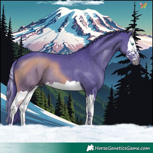 Horse Color:Watercolor Smoky Black Splash 